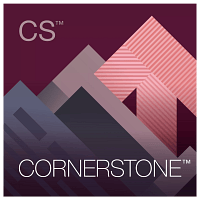 CS Cornerstone software icon